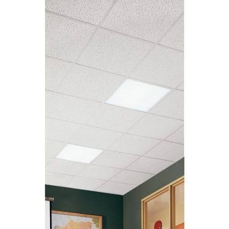 Fissured Square Lay in Ceiling Panel, 24x24x5/8 in., 16 per Case C8888
