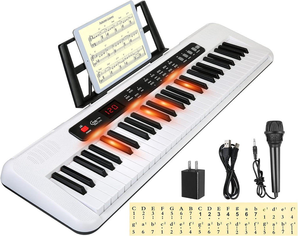 61 Key Lighted Keys Electronic Keyboard Piano with Microphone E4159