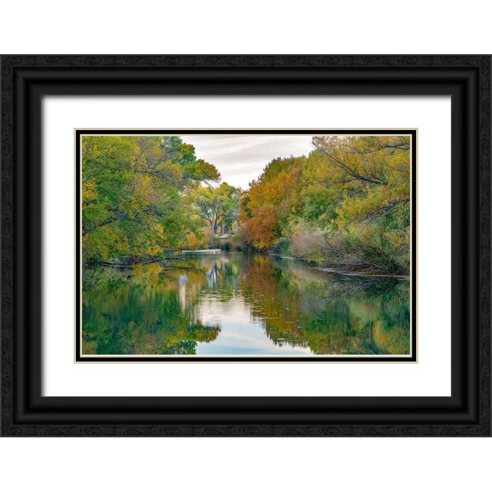 32x23 Black Ornate Wood Framed Museum Art Print N113