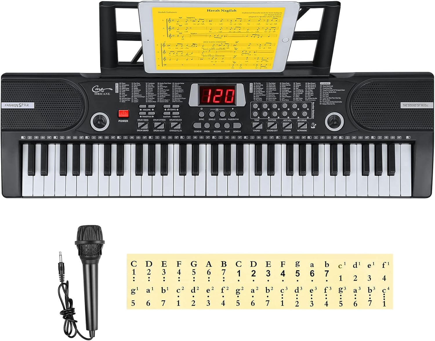 61 Key Lighted Keys Electronic Keyboard Piano with Microphone E4159