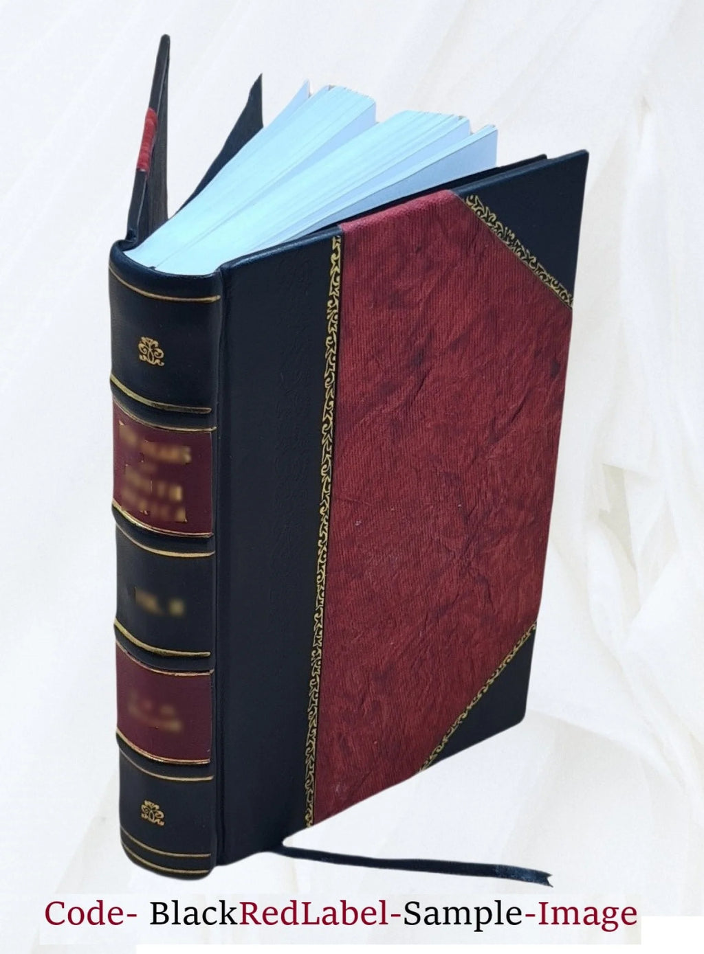 Cavaliers and Roundheads Novel Volume 2 Leather Bound A40361